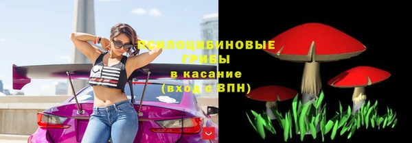 соль курить ск Алзамай