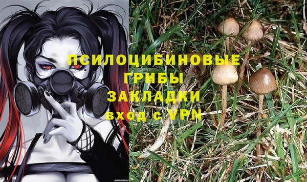 соль ск Алексин