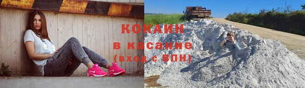 соль ск Алексин
