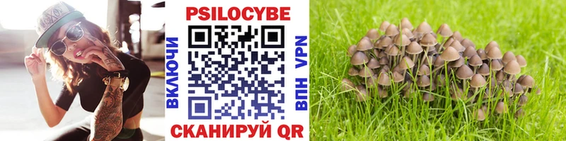как найти закладки Дятьково мориарти состав Псилоцибиновые грибы Magic Shrooms