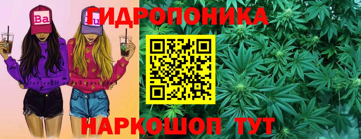 Бошки Шишки конопля  МАРИХУАНА Amnesia  Конопля White Widow  Дятьково  Вход с VPN  Каннабис гибрид 